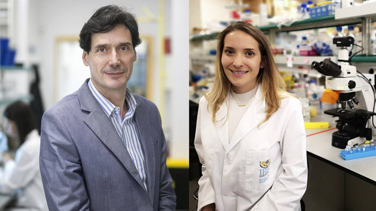 La vitamina B12 un actor clave en la reprogramacion celular y la regeneracion de los tejidos