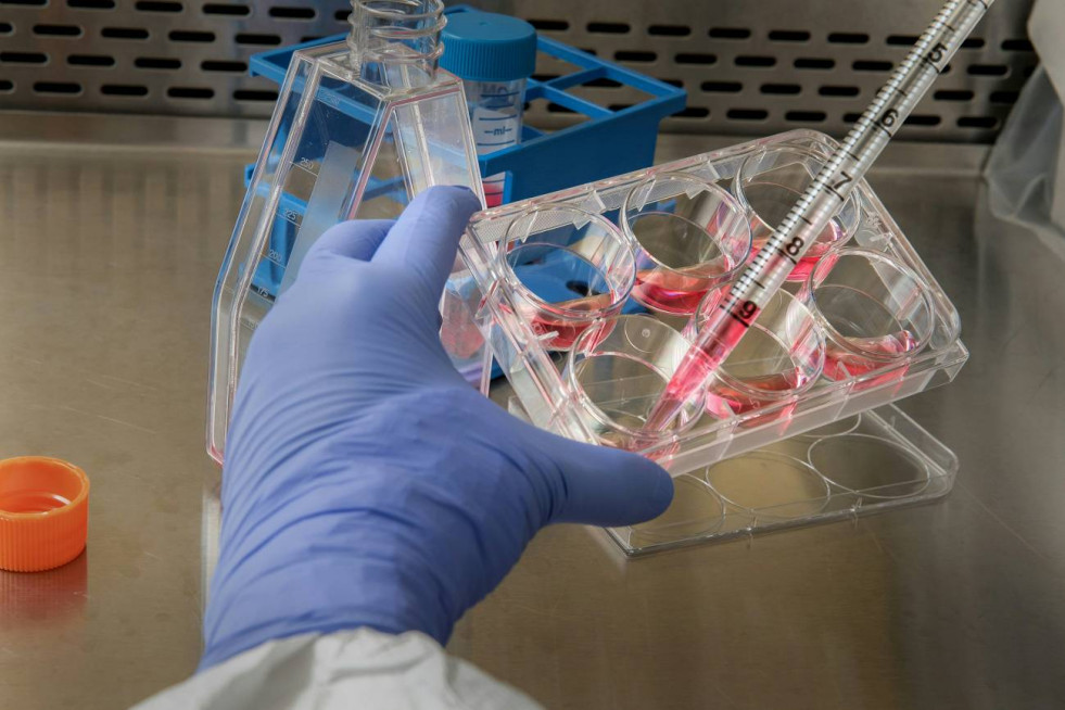 Desarrollan una terapia genica contra el sarcoma de Ewing un tipo de cancer infantil