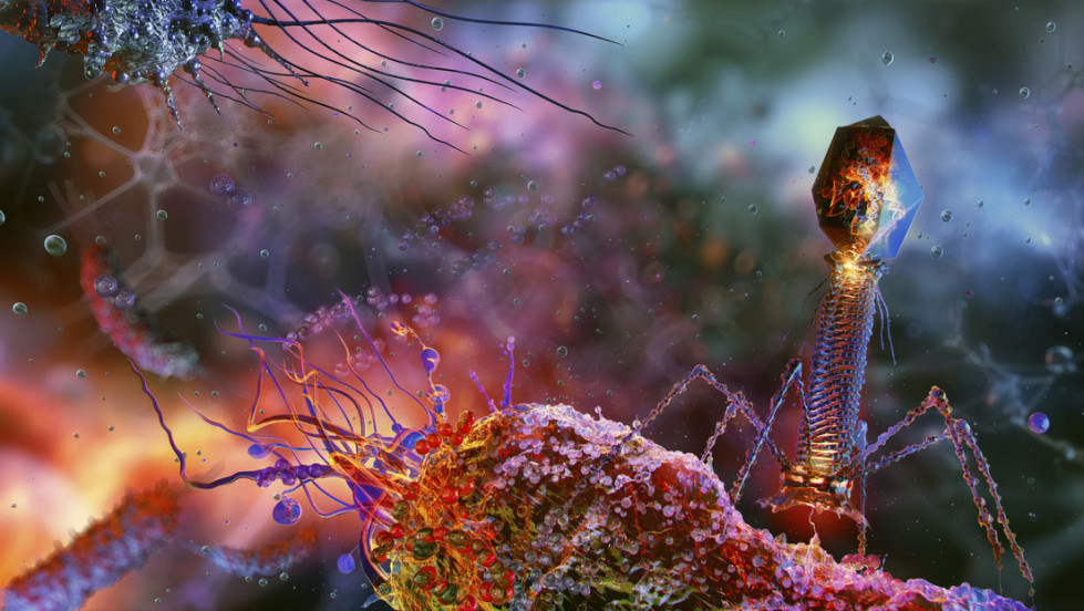 68e2d871e9ff71353a477b72