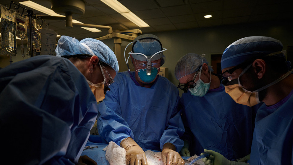 61bb02efe9ff71793c68cda7