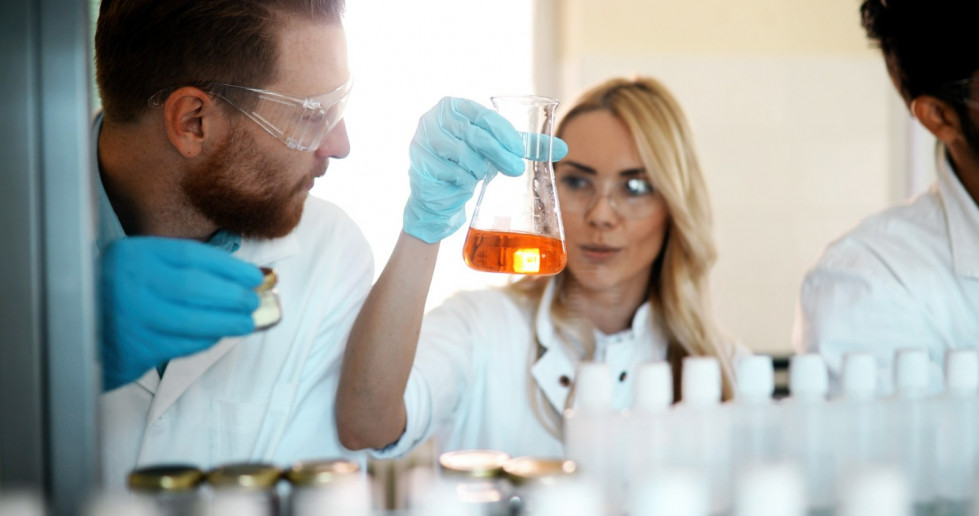 WhatsApp Image 2025 11 24 at 11.50.33 AM