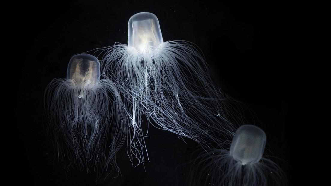 695289cae9ff7109971be37b