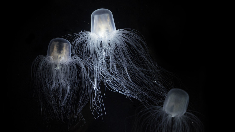 695289cae9ff7109971be37b