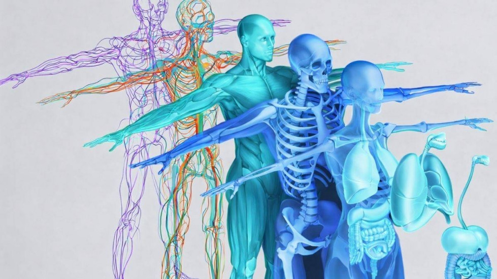 Articulos 182930 1200x675